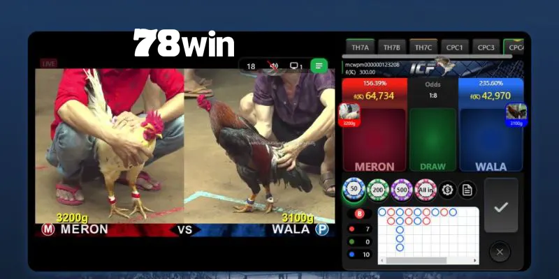 Tìm hiểu các hình thức đá gà 78win phổ biến